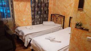Отель Hotel Isani Тбилиси Небольшой двухместный номер с 2 отдельными кроватями-3